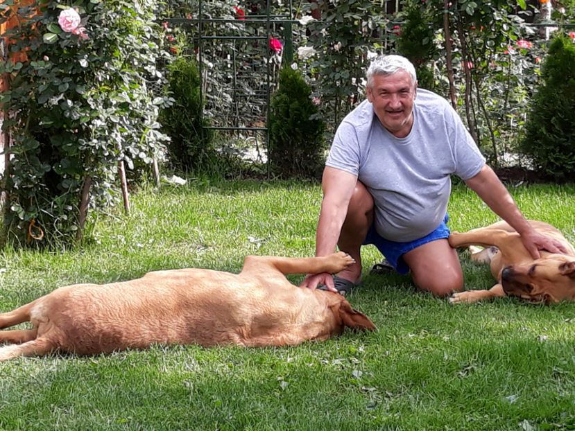  - 1 CATELUSELE NOASTRE