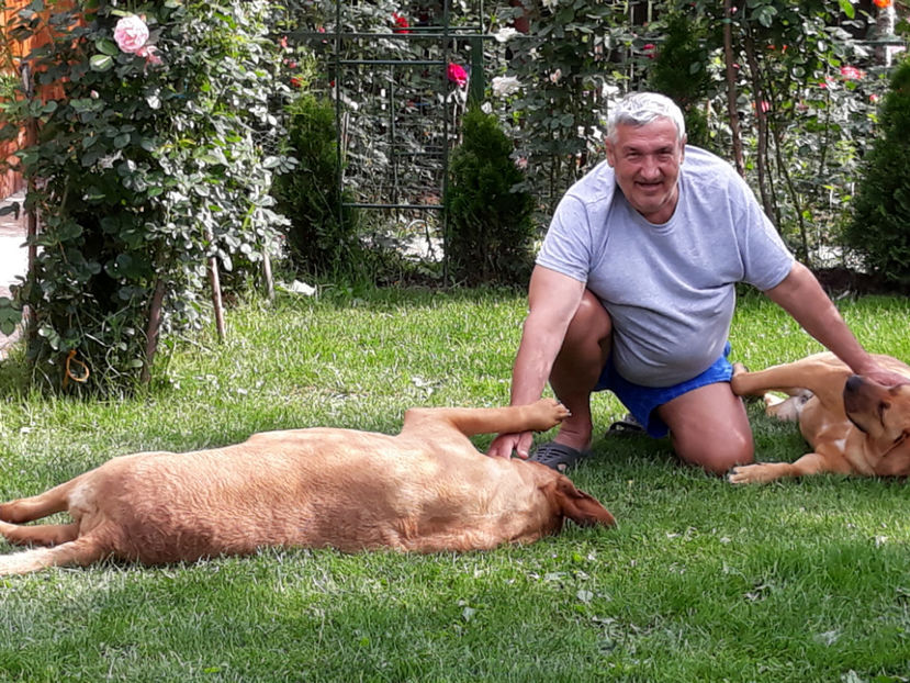  - 1 CATELUSELE NOASTRE