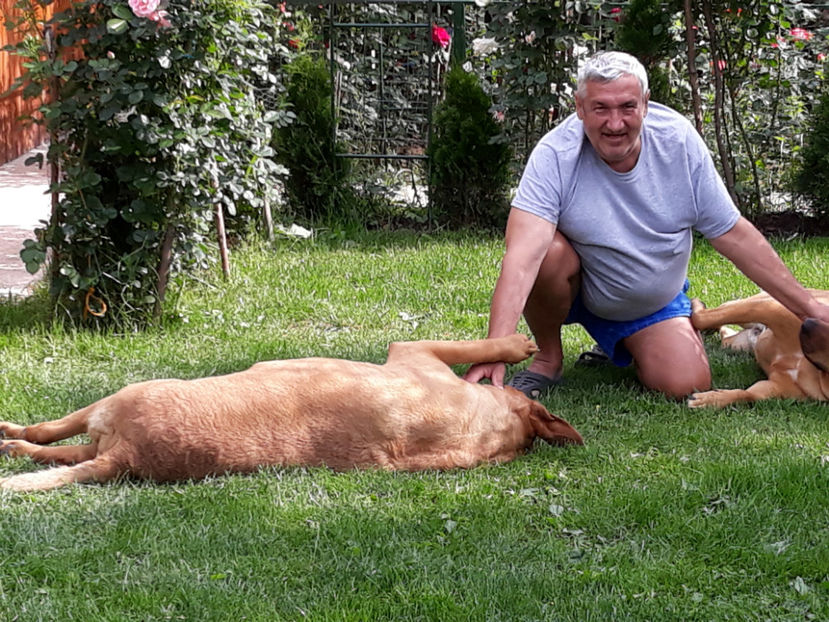  - 1 CATELUSELE NOASTRE