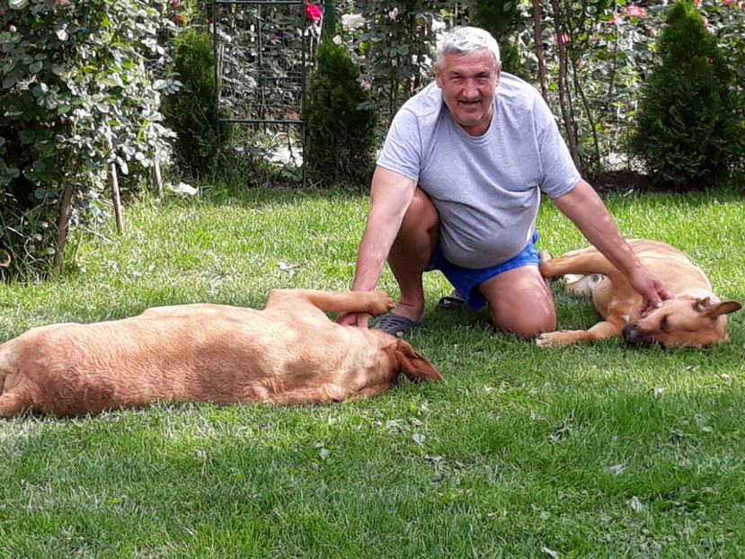  - 1 CATELUSELE NOASTRE