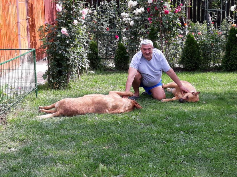  - 1 CATELUSELE NOASTRE