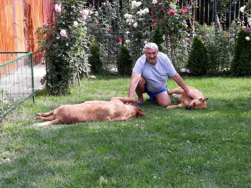  - 1 CATELUSELE NOASTRE