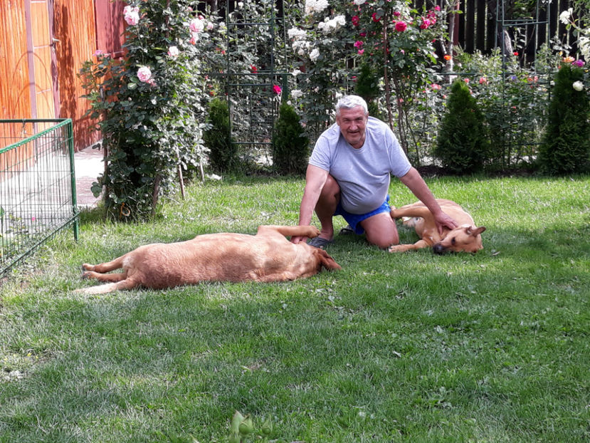  - 1 CATELUSELE NOASTRE