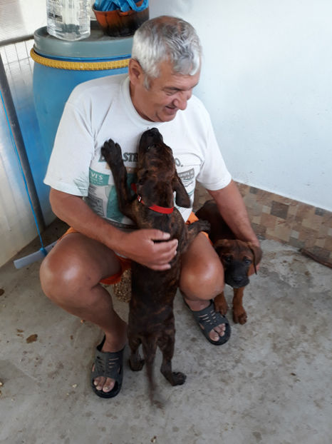  - 1 CATELUSELE NOASTRE