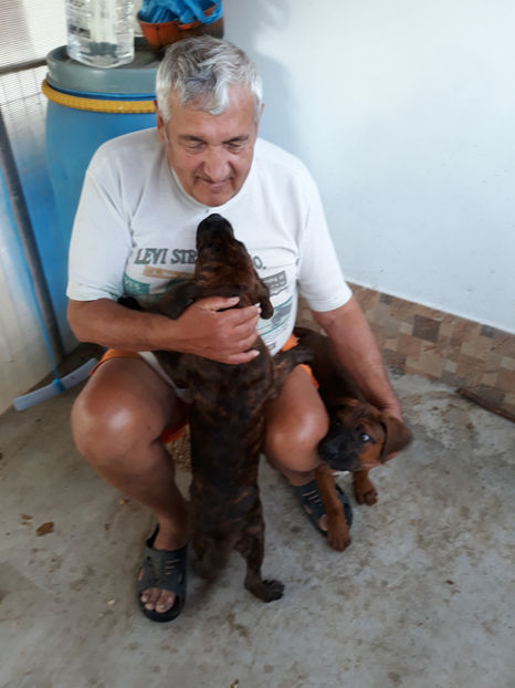  - 1 CATELUSELE NOASTRE