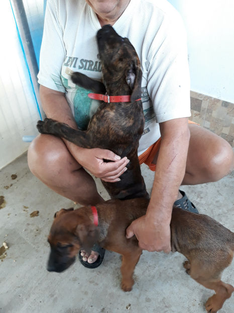  - 1 CATELUSELE NOASTRE