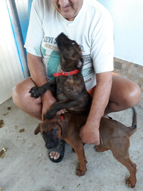  - 1 CATELUSELE NOASTRE