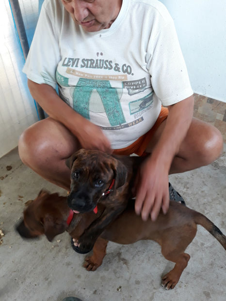  - 1 CATELUSELE NOASTRE