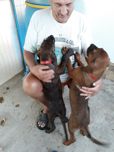  - 1 CATELUSELE NOASTRE