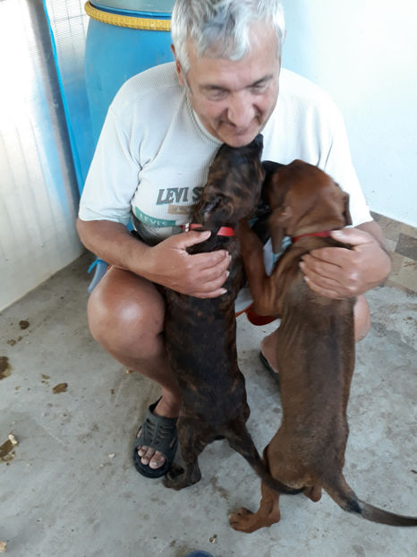  - 1 CATELUSELE NOASTRE