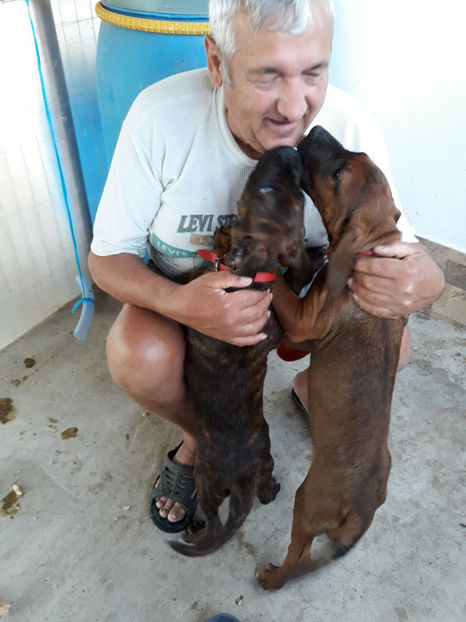  - 1 CATELUSELE NOASTRE