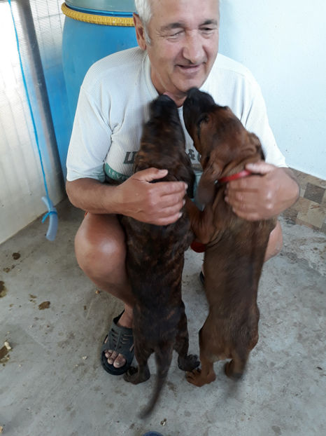  - 1 CATELUSELE NOASTRE