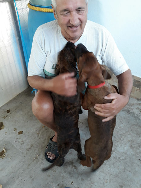  - 1 CATELUSELE NOASTRE