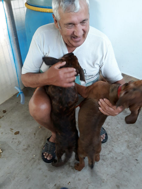  - 1 CATELUSELE NOASTRE