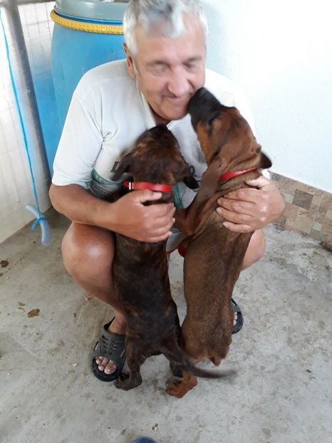  - 1 CATELUSELE NOASTRE