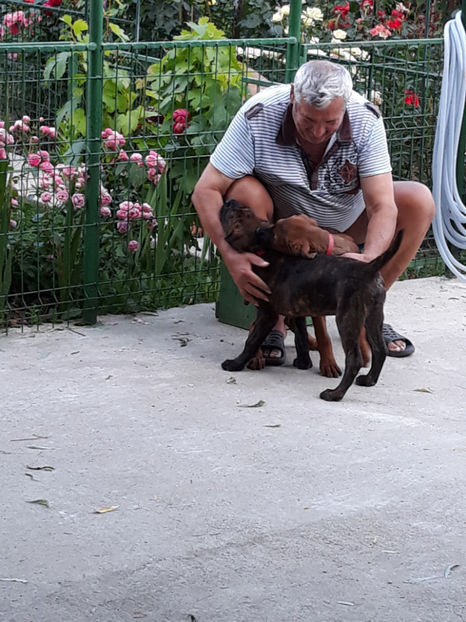  - 1 CATELUSELE NOASTRE