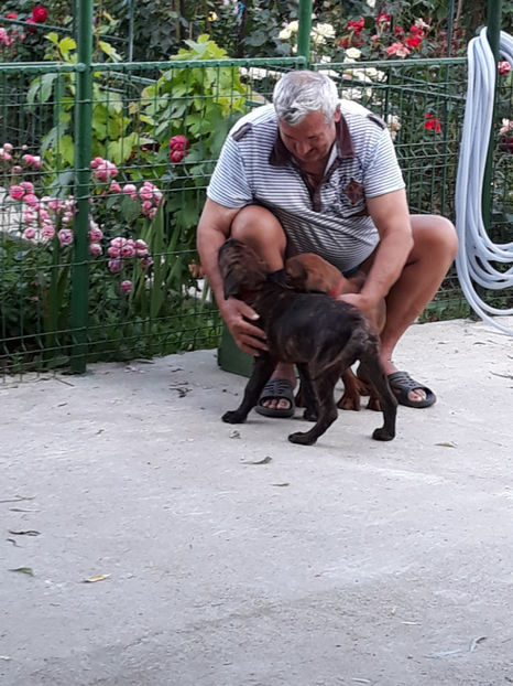  - 1 CATELUSELE NOASTRE