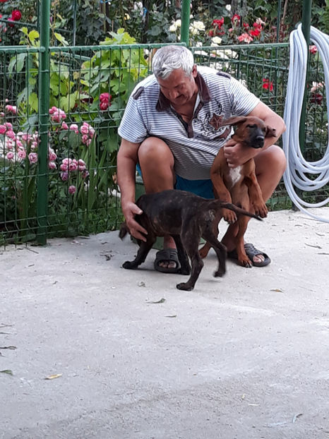  - 1 CATELUSELE NOASTRE