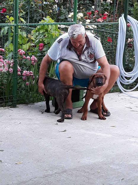  - 1 CATELUSELE NOASTRE