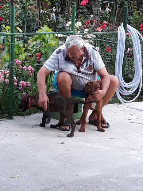  - 1 CATELUSELE NOASTRE