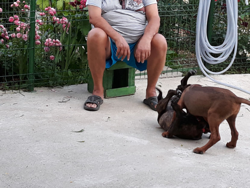  - 1 CATELUSELE NOASTRE