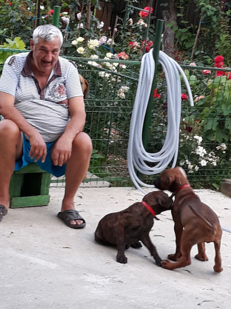  - 1 CATELUSELE NOASTRE