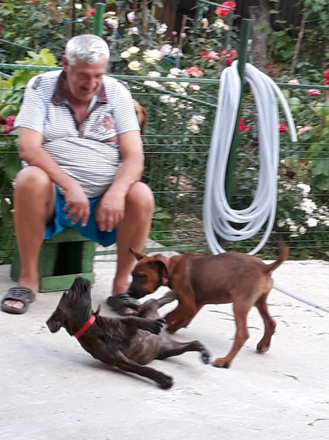  - 1 CATELUSELE NOASTRE