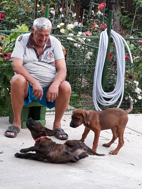  - 1 CATELUSELE NOASTRE