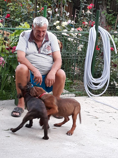  - 1 CATELUSELE NOASTRE