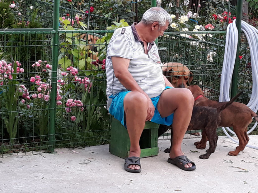  - 1 CATELUSELE NOASTRE