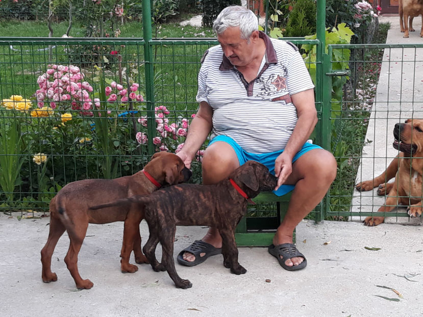  - 1 CATELUSELE NOASTRE