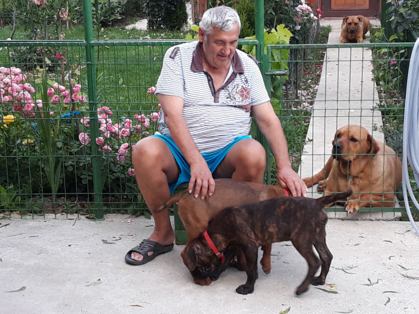  - 1 CATELUSELE NOASTRE