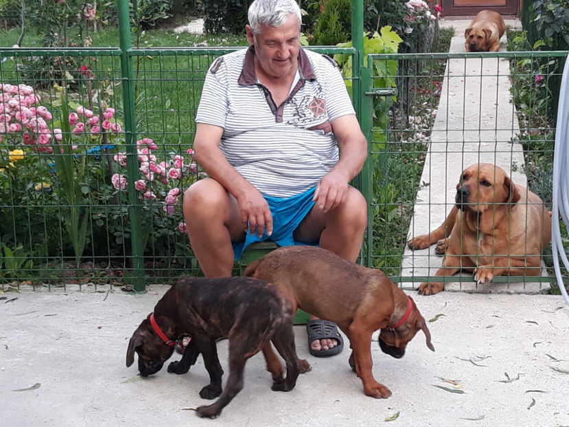  - 1 CATELUSELE NOASTRE