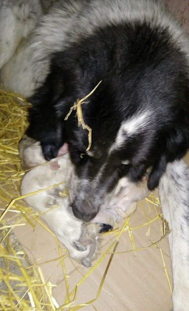 received_1227168740795224 - Laura