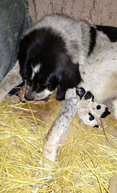 received_398291024114652 - Laura