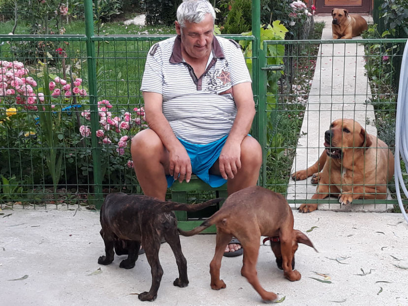  - 1 CATELUSELE NOASTRE