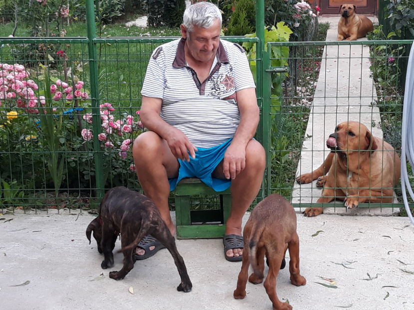  - 1 CATELUSELE NOASTRE