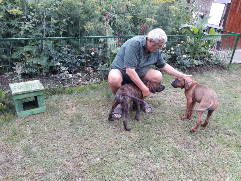  - 1 CATELUSELE NOASTRE