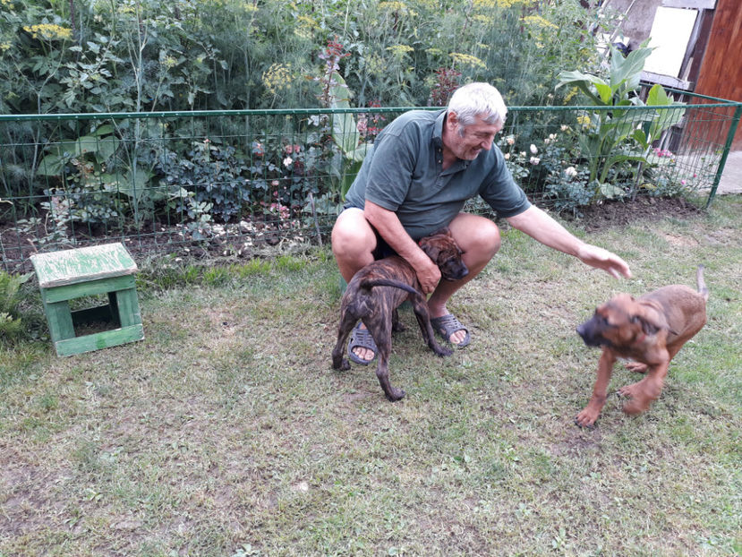  - 1 CATELUSELE NOASTRE