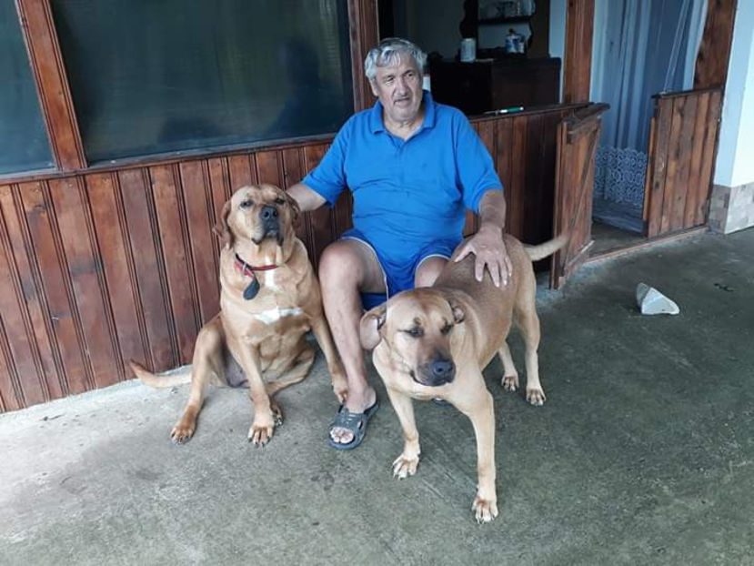  - 1 CATELUSELE NOASTRE