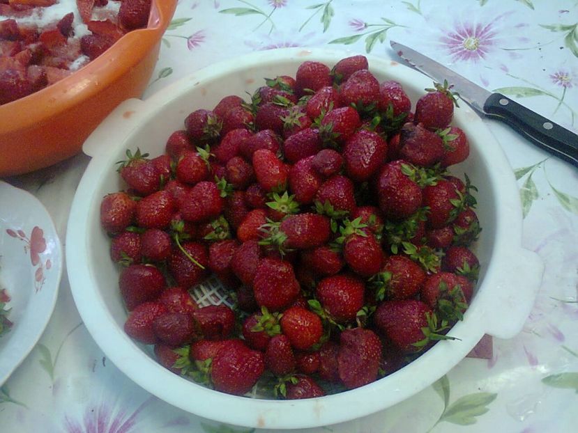 Fotografie5258 - 2019 VARA LA BUNICI iunie-iulie