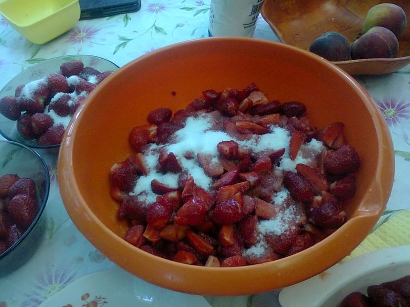 Fotografie5259 - 2019 VARA LA BUNICI iunie-iulie