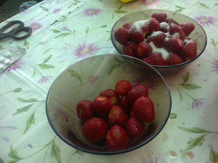 Fotografie5261 - 2019 VARA LA BUNICI iunie-iulie