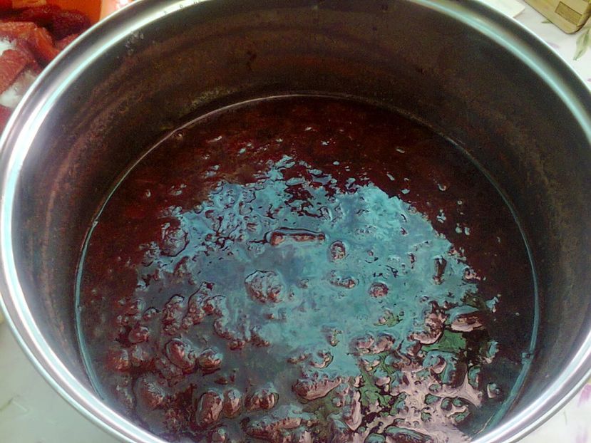 Fotografie5262 - 2019 VARA LA BUNICI iunie-iulie