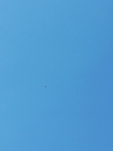  - Budapesta și Targoviste