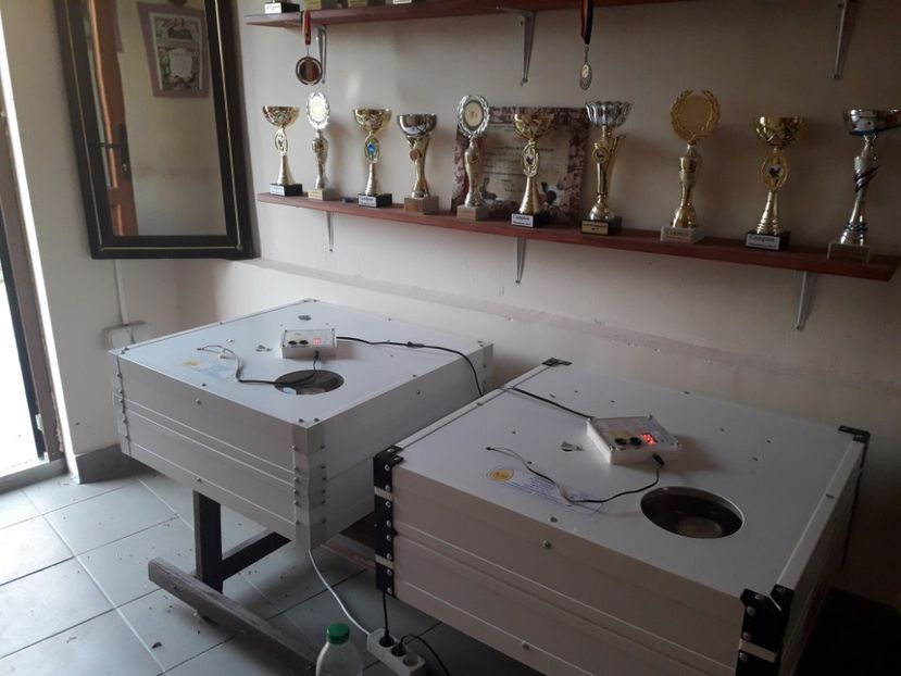 06 . 07 . 19 . - CLOCITOARE