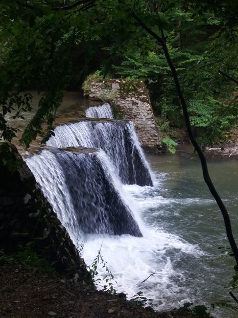  - Cheile Sohodolului iulie 2019