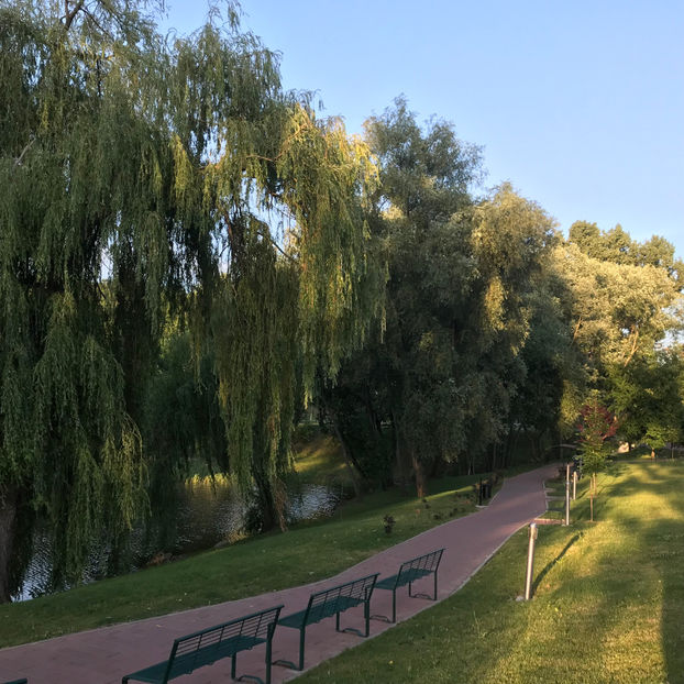  - Suceava_Romania 2019