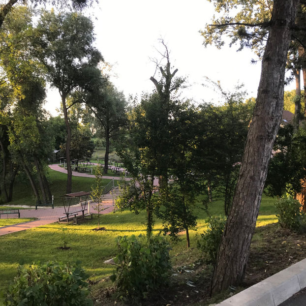  - Suceava_Romania 2019