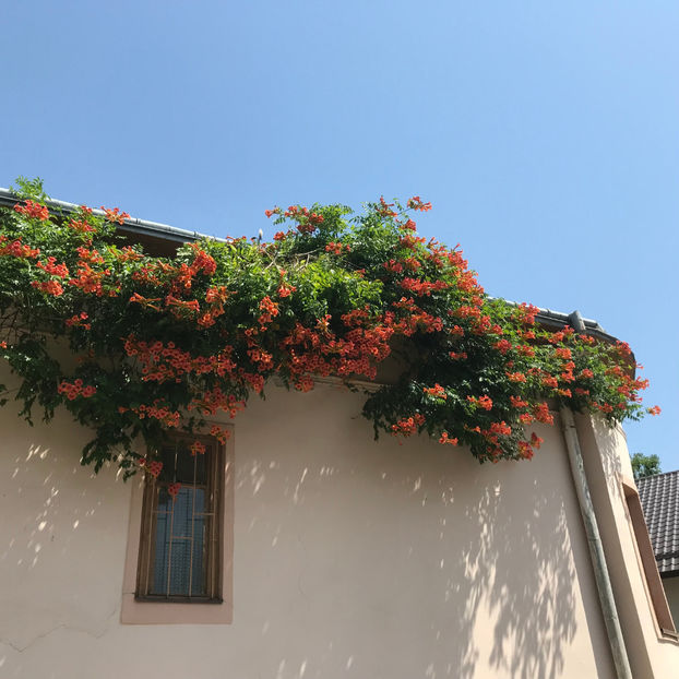  - Suceava_Romania 2019